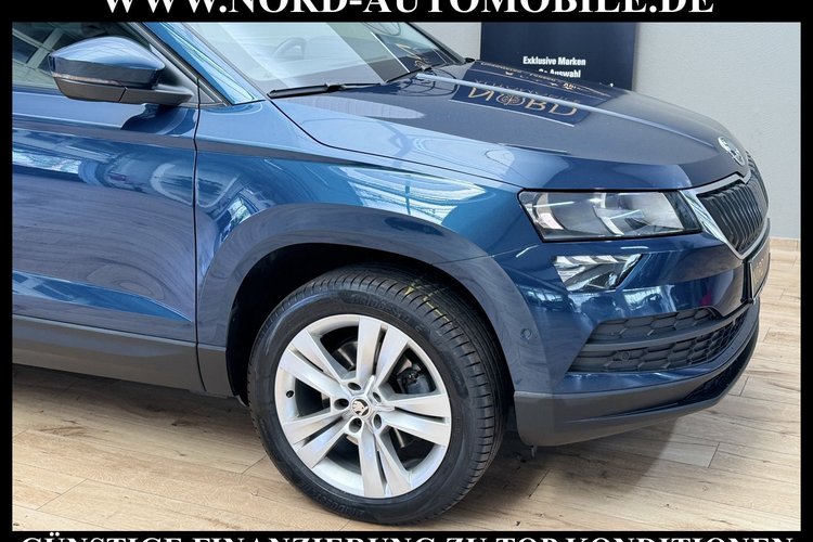 Skoda Karoq Karoq Style 2.0 TDI DSG Navi*Kamera*18''*