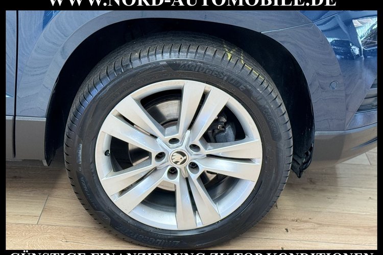 Skoda Karoq Karoq Style 2.0 TDI DSG Navi*Kamera*18''*