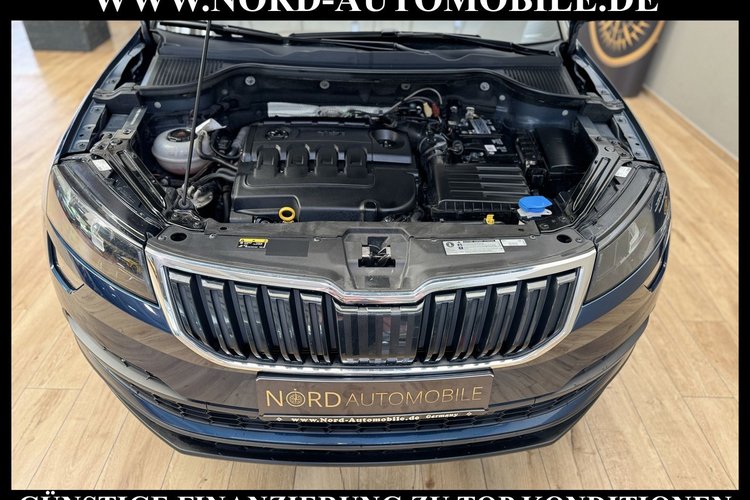 Skoda Karoq Karoq Style 2.0 TDI DSG Navi*Kamera*18''*