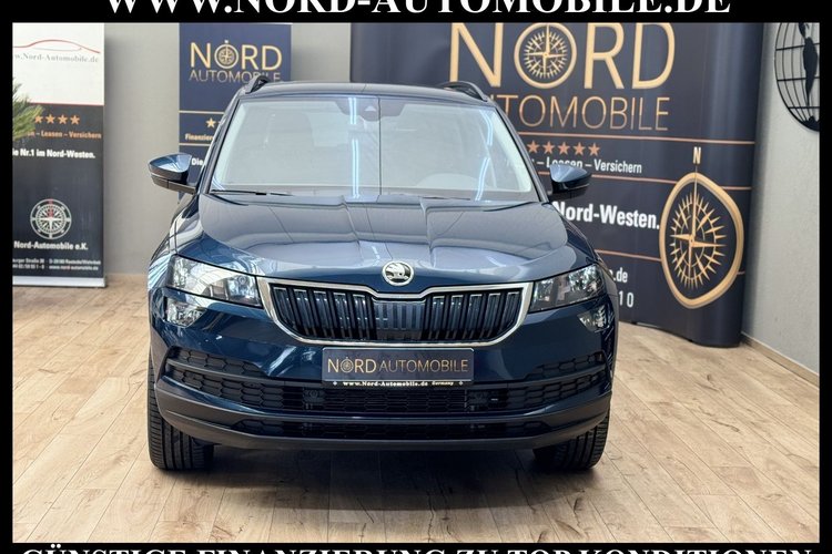 Skoda Karoq Karoq Style 2.0 TDI DSG Navi*Kamera*18''*
